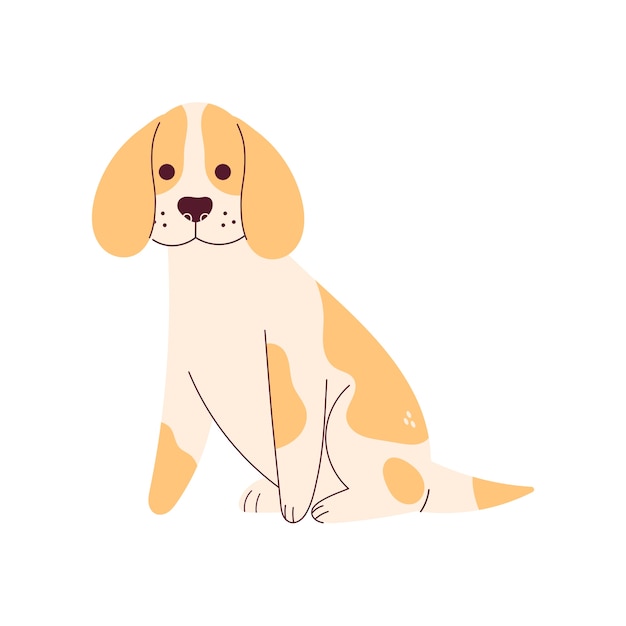 Lindo perro aislado