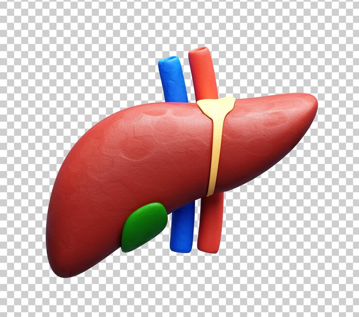 PSD Gratis liver human organs 3d icon illustration