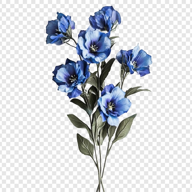 Lo splendido bouquet di fiori blu