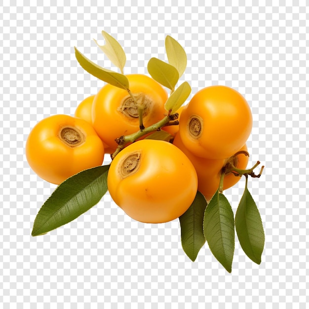 Gratis PSD loquat geïsoleerd op een doorzichtige achtergrond