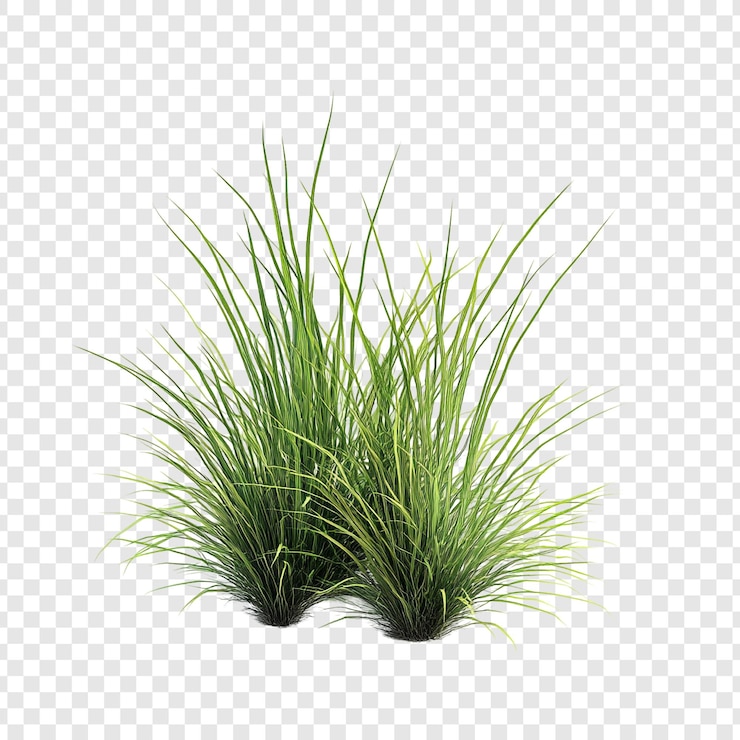 PSD Gratis lush green grass tuft isolated 3d render