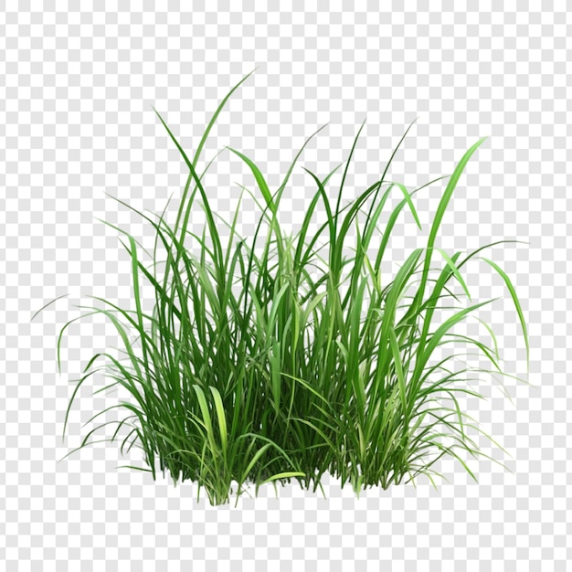 Lush Green Grass Tuft Un vibrante rendering 3D della bellezza della natura