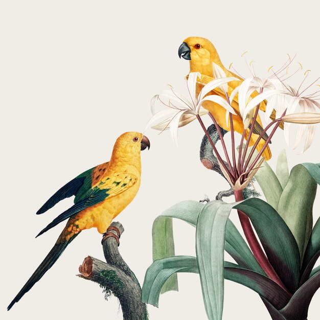 Macaw tropische illustratie