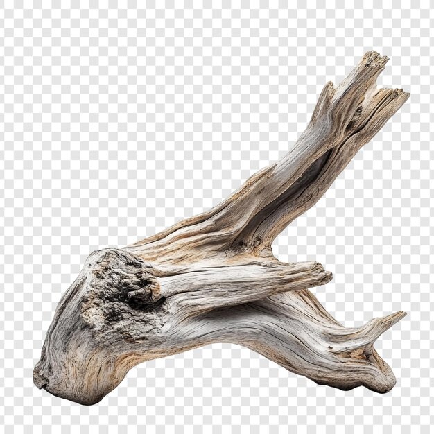 La madera a la deriva es un estudio de la textura natural
