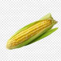 PSD gratuito maíz crudo fresco png aislado sobre fondo transparente