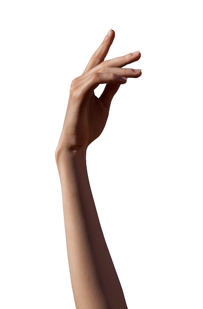 Mani sensibili isolate