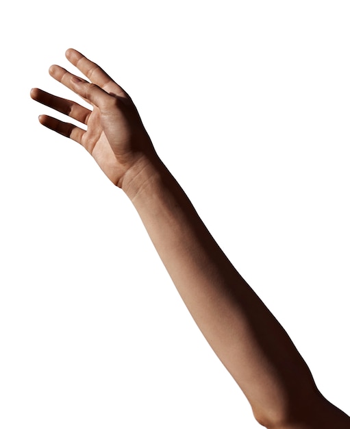 Mani sensibili isolate