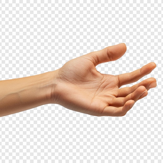 La mano abierta extendiendo el gesto de dar ayuda apoyo asistencia anatomía humana piel dedos de la palma aislados en un fondo transparente