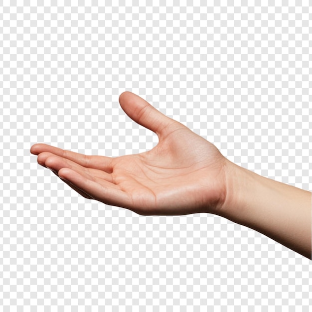 Mano abierta Extendiendo la mano Ofreciendo ayuda Gesto aislado Fondo Mano humana Palma hacia arriba Recibiendo Dar invitación Asistencia Apoyo Cuidado Compartir Generosidad Bondad Tendernía Compasión
