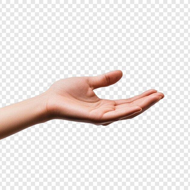 La mano abierta Ofrecer recibir ayuda Apoyo Gesto Palma Cuidado humano Tenderidad Dar Recibir Compartir Bondad Generosidad Compasión Humanidad Conexión Empatía Alcanzar Extender la oferta actual Aceptar