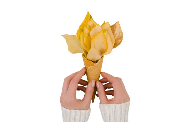 Mantenimiento de la mano del follaje de otoño