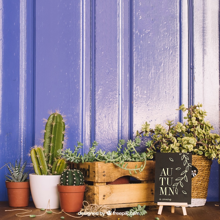 PSD gratuito mockup de jardinería con cactus y tablón