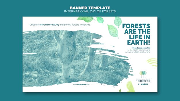 Modello di banner del giorno delle foreste con foto