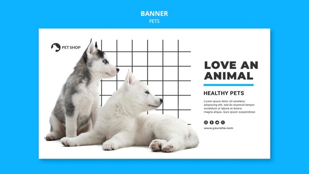 Modello di banner di animali domestici con foto