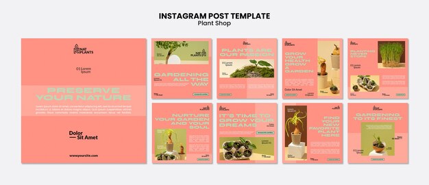 Modello di post di instagram del negozio di piante