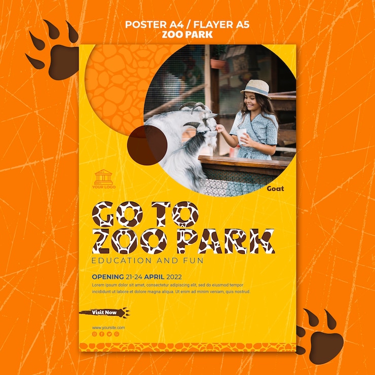 PSD gratuito modello di poster del parco zoo con foto