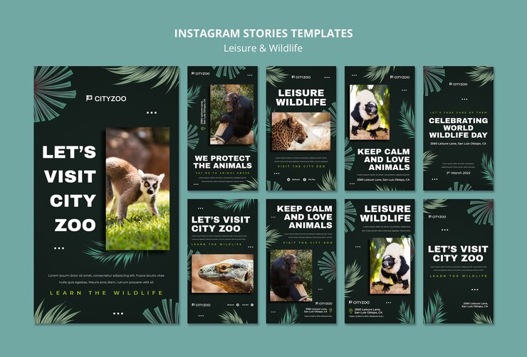 PSD gratuito modello di progettazione di storie di instagram per il tempo libero e la fauna selvatica
