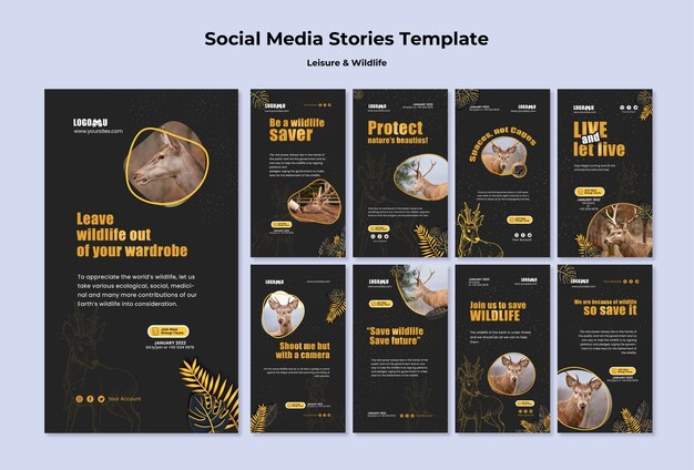 Modello di storie instagram per il tempo libero e la fauna selvatica