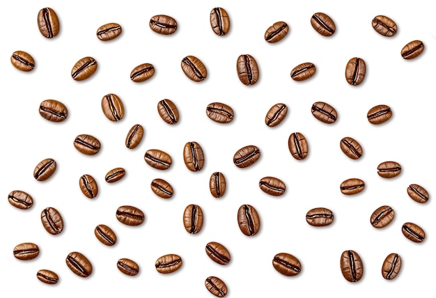 Motiefontwerp van koffiebonen