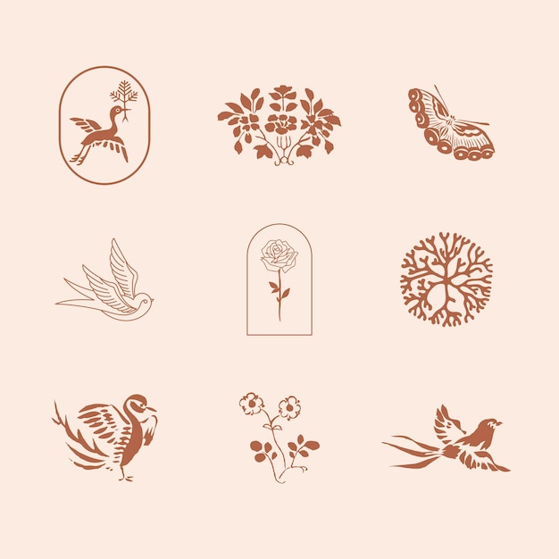 Natuurlijke branding psd ontwerpelementen vintage illustraties set