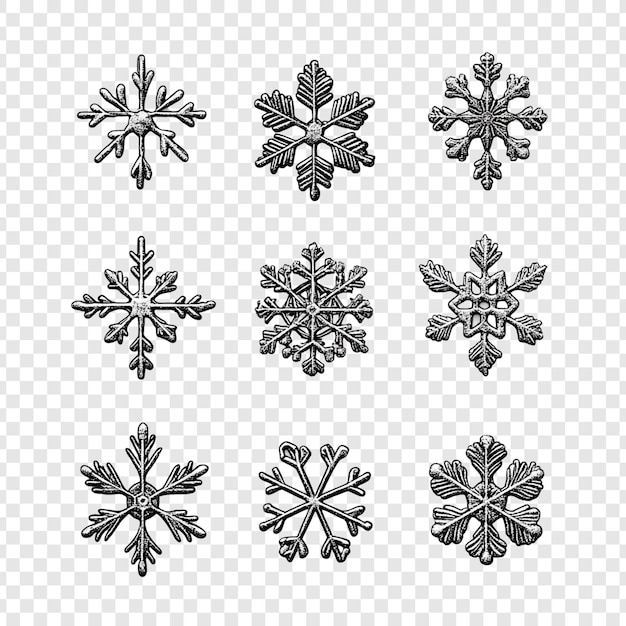 Nueve copos de nieve únicos Una colección de intrincados diseños de invierno
