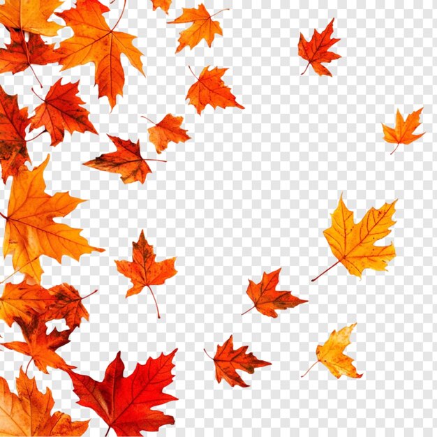 El otoño deja un vibrante diseño estacional