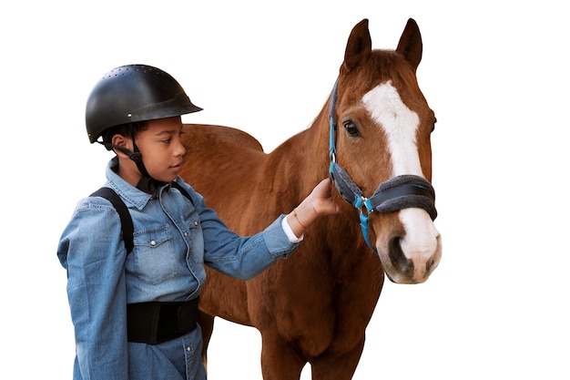 Paard klaar voor paardensport geïsoleerd