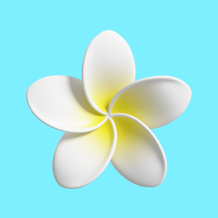 PSD gratuito pack de iconos de hermosa flor blanca