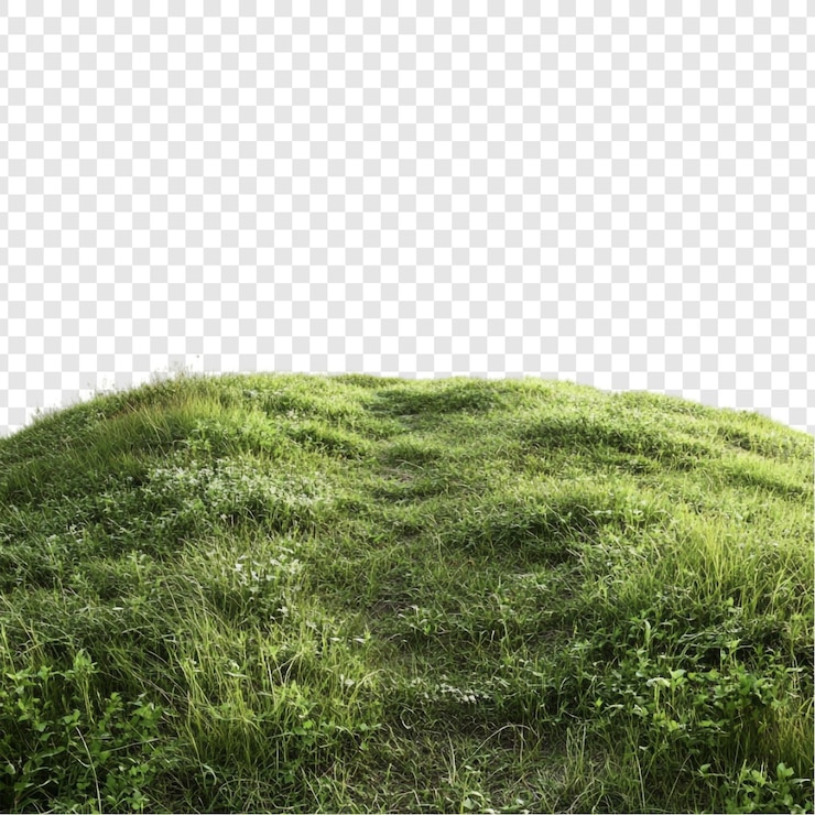 PSD gratuito paesaggio di serene green hill lush grassy knoll