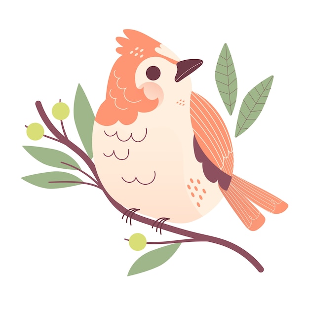 Pájaro lindo en la rama