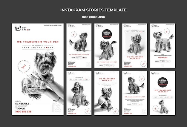 PSD gratuito paquete de historias de instagram para empresa de peluquería de mascotas