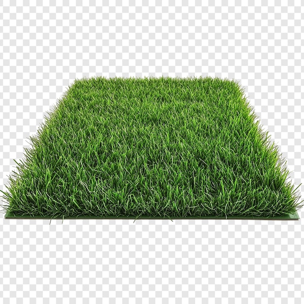 Un parche de hierba verde exuberante una plaza de alfombra de la naturaleza