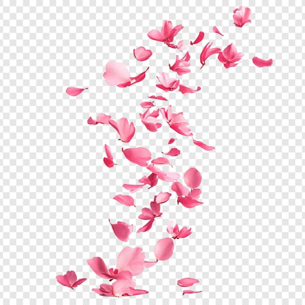 Los pétalos rosados que caen Una danza de delicada belleza