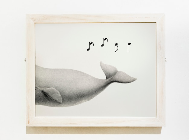 PSD gratuito pieza de arte enmarcada de un canto de ballena.