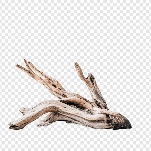 Una pieza intrincada de madera a la deriva