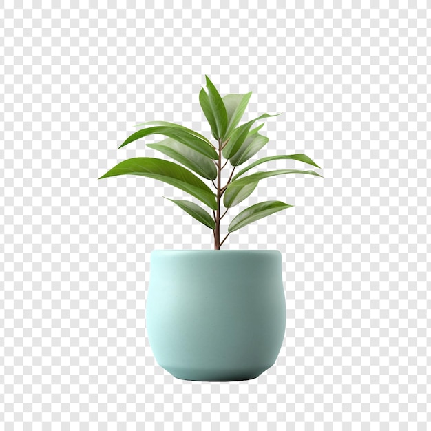 Gratis PSD plant pot bloem geïsoleerd op transparante achtergrond