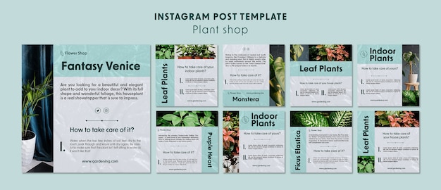Gratis PSD plant winkel instagram berichten sjabloon