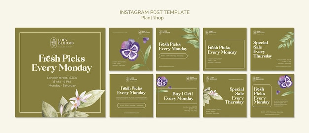 Gratis PSD plant winkel instagram berichten sjabloon