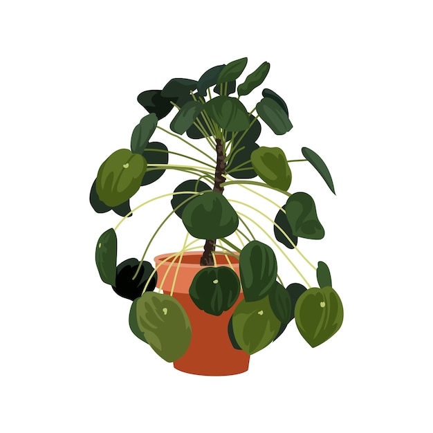 Planta aislada detallada