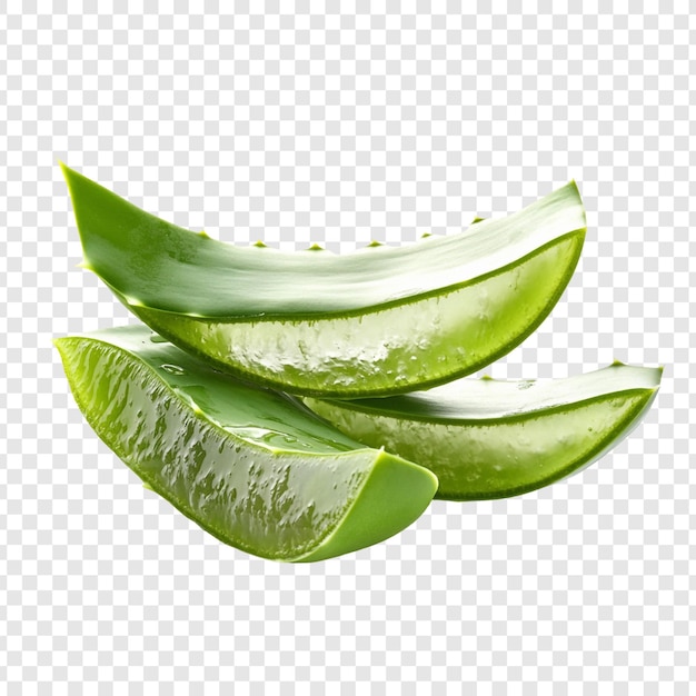 Plantas curativas naturales con rebanadas frescas de aloe vera