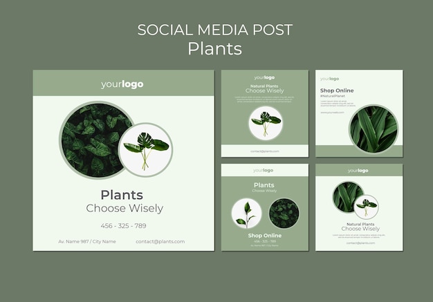 Planten winkelen social media postsjabloon