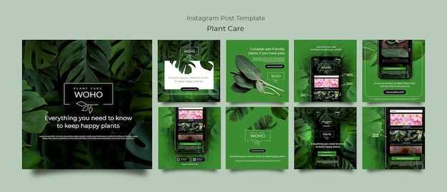 Plantilla de cuidado de plantas de diseño plano