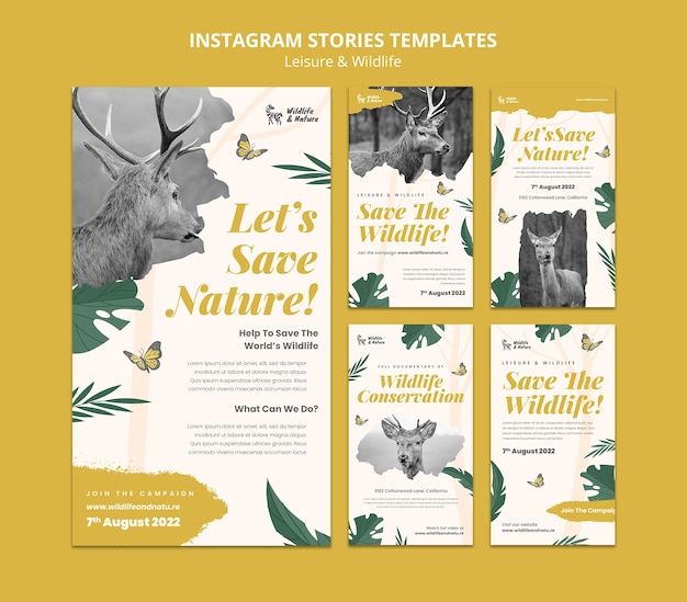 Plantilla de historias de instagram de ocio y vida silvestre