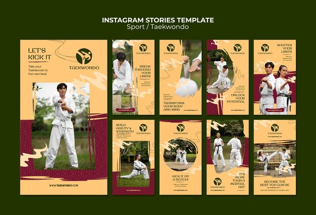 Plantilla de historias de instagram de taekwondo