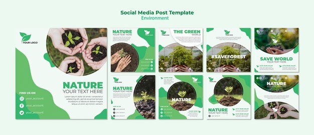 Plantilla de publicación orgánica para redes sociales