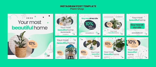 Plantilla de publicaciones de instagram de cuidado de plantas