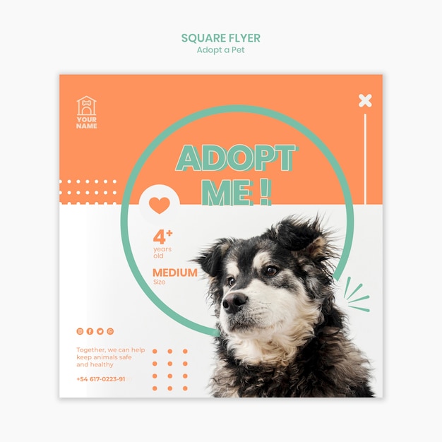 Plantilla de volante adoptar mascota