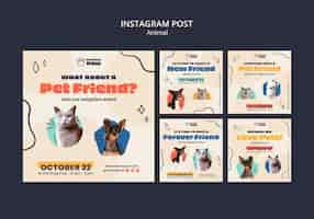 Gratis PSD platte ontwerp dierendag sjabloon