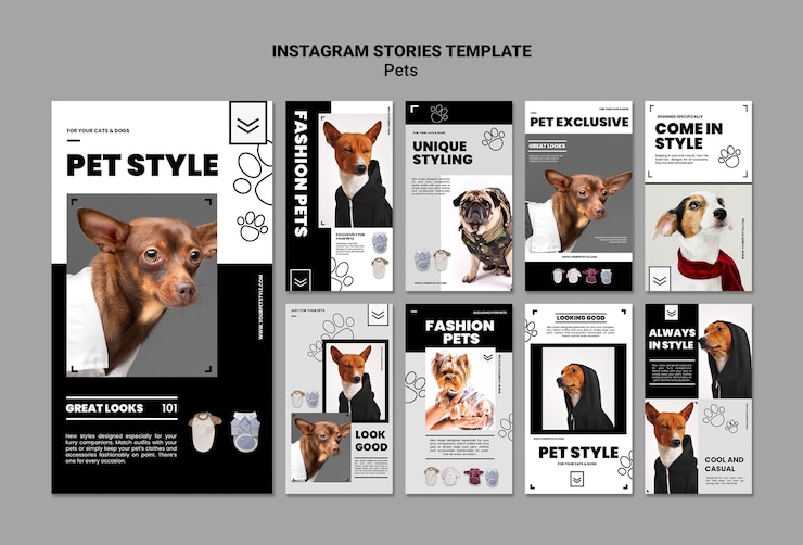 Gratis PSD platte ontwerp productcatalogus instagram postsjabloon