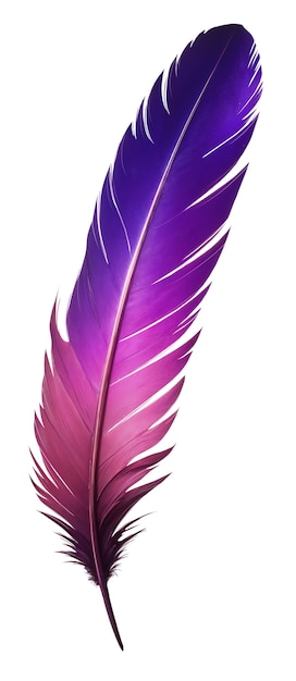 Pluma delicada aislada